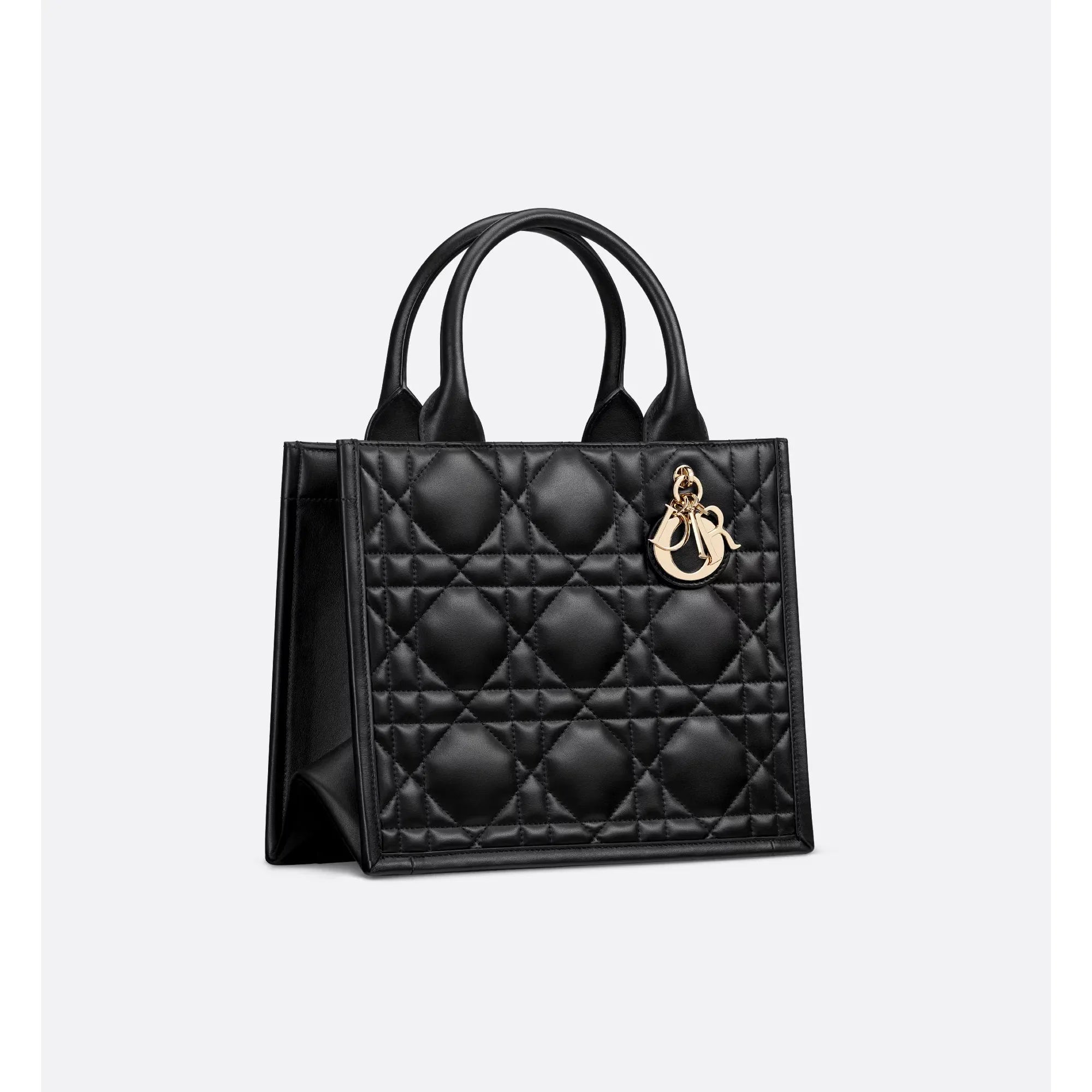 Sac Dior - Book Tote Small
